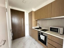 Spottiswoode 18 (D2), Apartment #496382191
